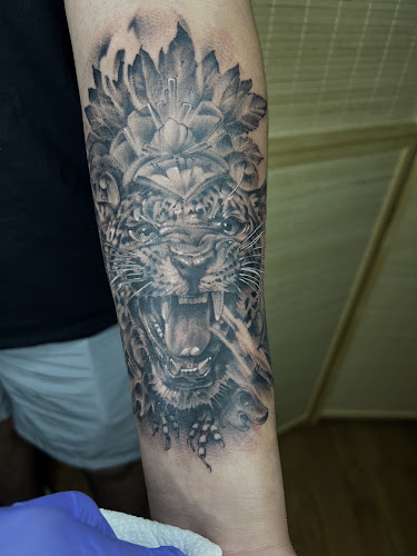 Fig Tattoo Studio in McKinney