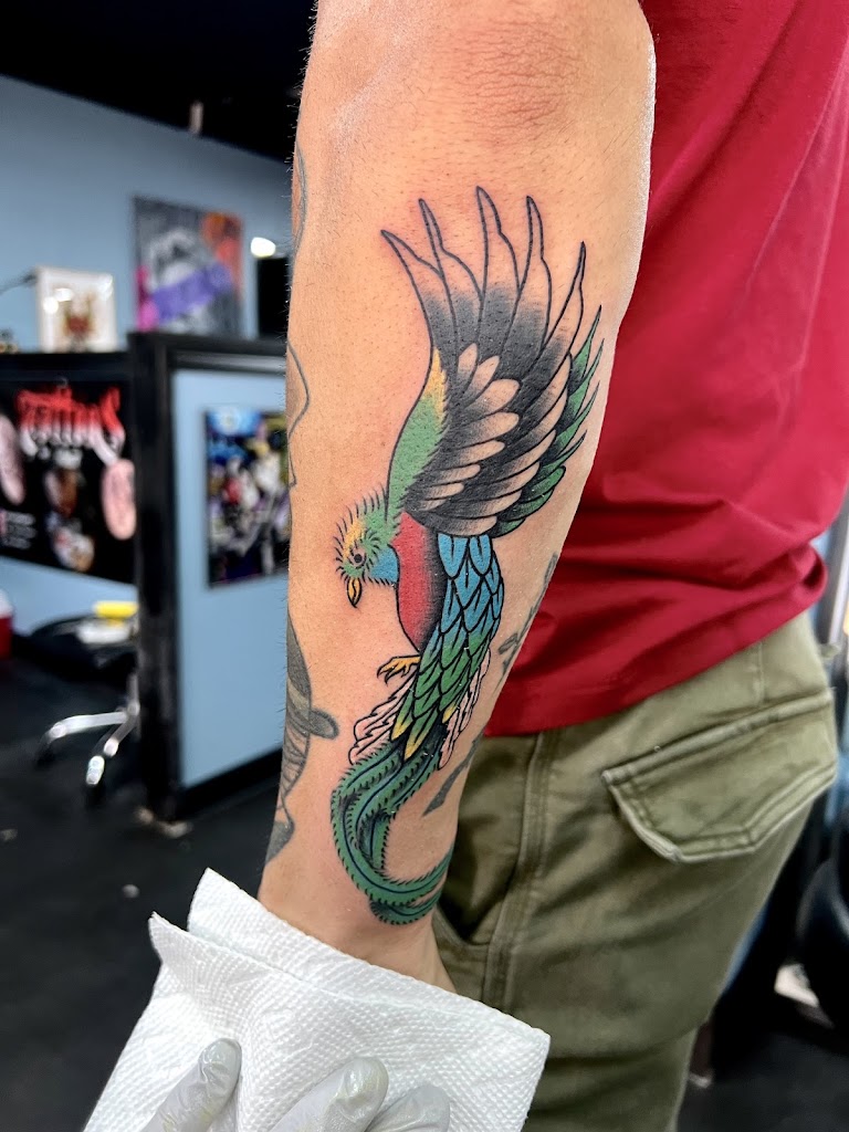 Tattoo work by Hold Fast Tattoo Parlour (1)
