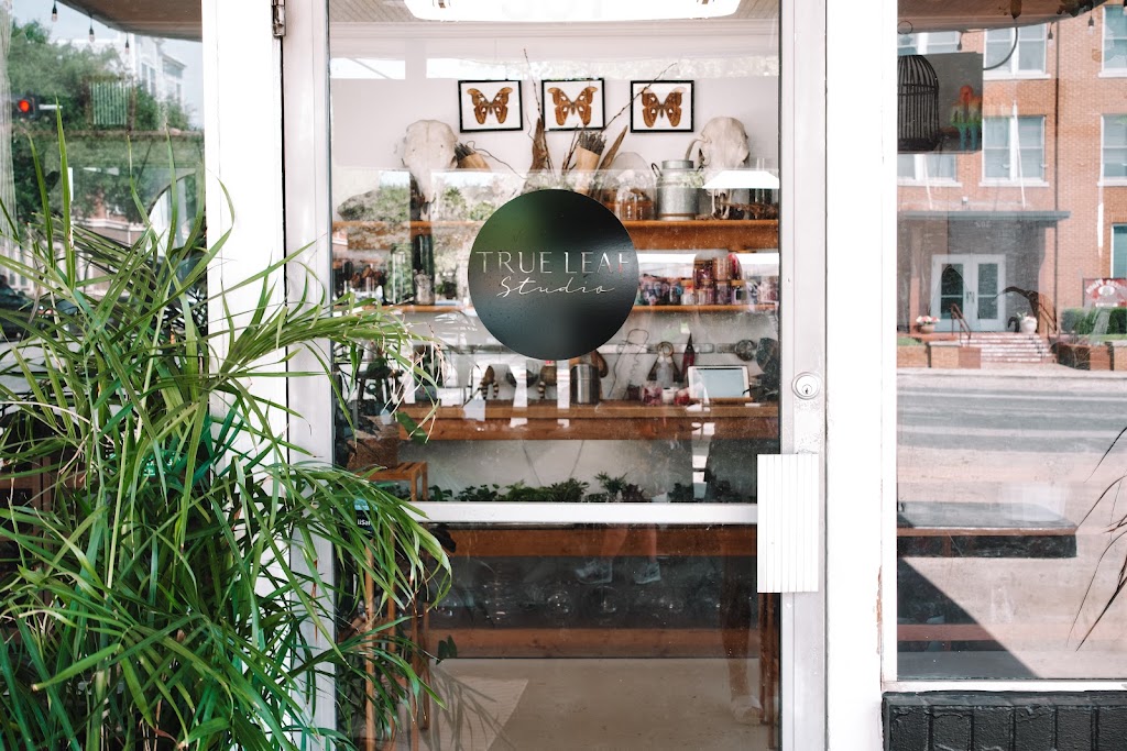 True Leaf Studio in Denton