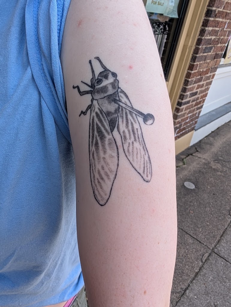 Tattoo work by Xanadoos.tattoos (6)